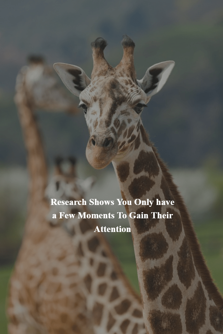 Gain and Keep Attention